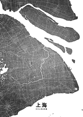 Shanghai map BW
