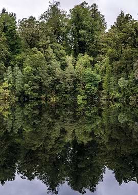 new zealand mirror tarn