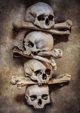 Skulls and bones