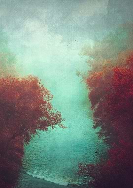 red trees at the river