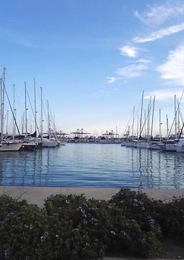 Evening at the harbour