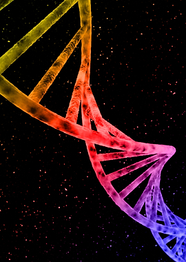 DNA IV