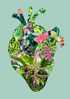 My Botanical Heart