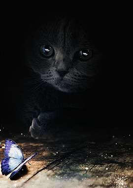 Cat and blue butterfly