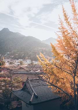 Rural Japan
