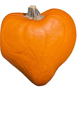 pumpkin heart and love