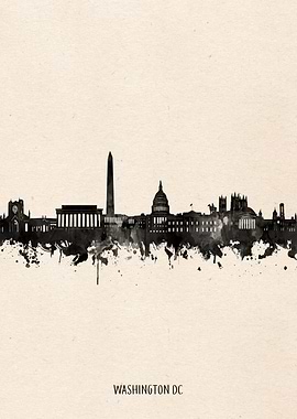 washington dc city portrai