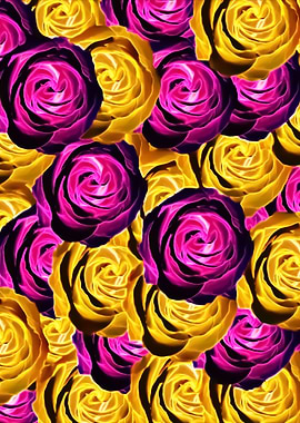 pink and yellow rose