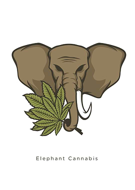 Elephant Cannabis