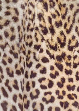 abstract leopard fur
