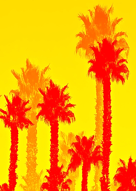 palm tree pattern abstract