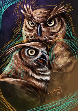 Owls Buhos