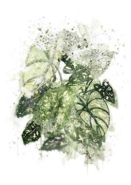 Abstract Philodendron