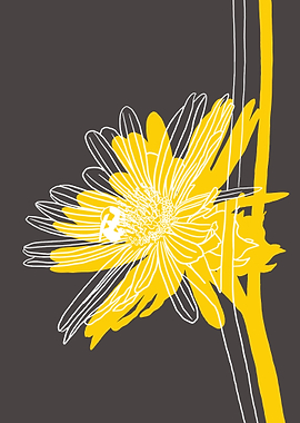 Compass Plant