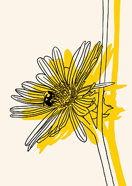 Compass Plant