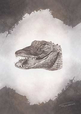 Serengeti - Crocodile