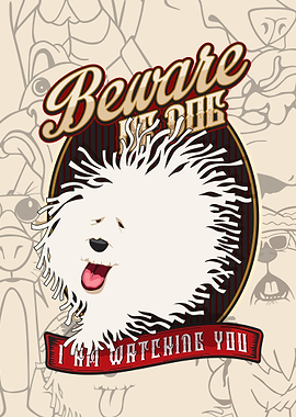 THE BEST TAIL 8 FEB19