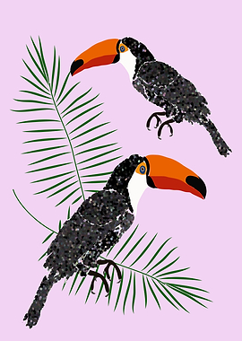 Toucans
