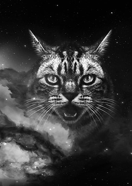 Galaxy Cat face wallpaper