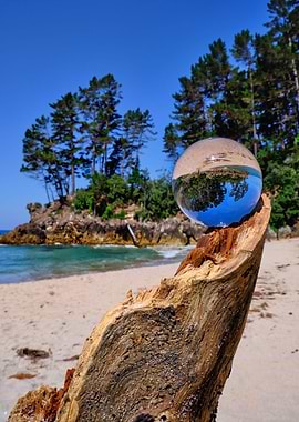 Coromandel reflected