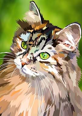 Beautiful long haired cat