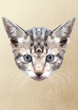 kitten on geometric art