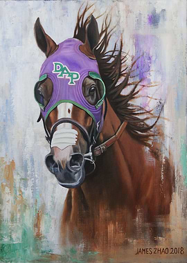 California Chrome4