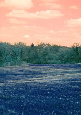 Burlington Farm Country