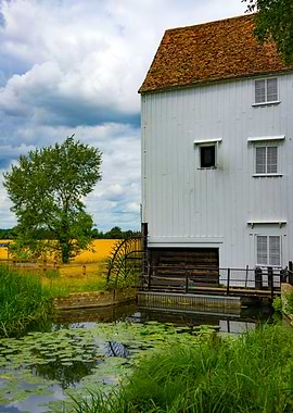 Wicken Fen