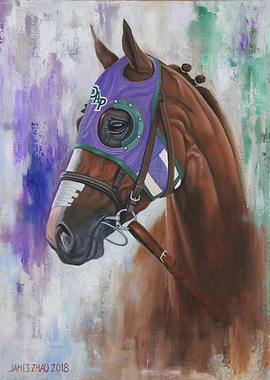 California Chrome3