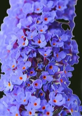 Butterfly Bush Flower