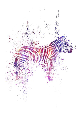 Zebra Galaxy Splatter