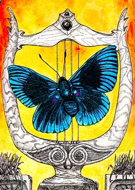 Exotic butterfly on lyre