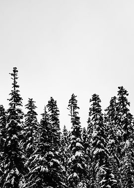 Winter Wonderland IX