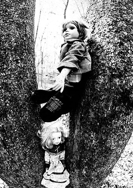 Creepy Dolls in Tree