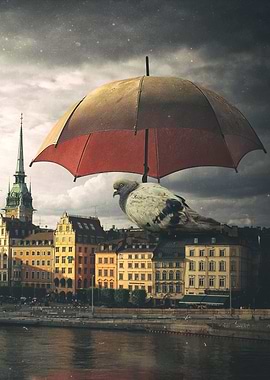 Postcard from Stockholm