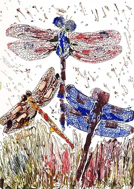 Dance of three dragonflies