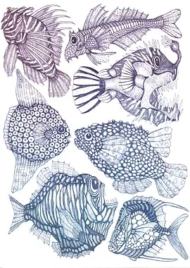 Aquarium with seven fish 2