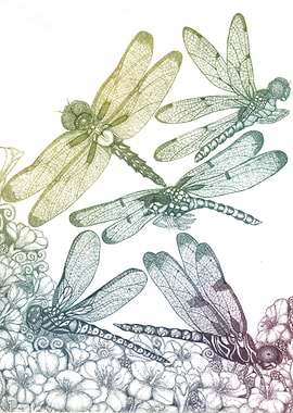 Dragonflies and flowers 1