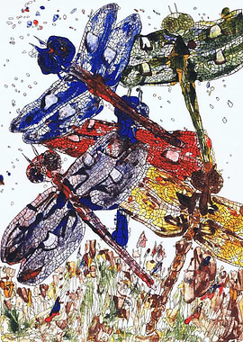 Dance of five dragonflies