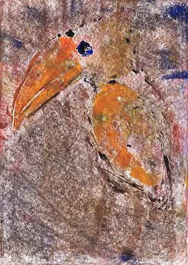 Bird with a yellow beak