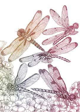 Dragonflies and flowers 3