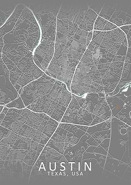 Austin Grey City Map