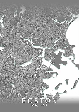 Boston Grey City Map