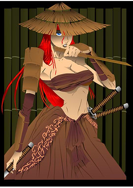 Samurai Lady