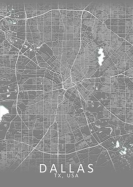 Dallas Grey City Map