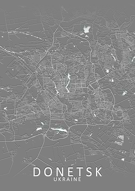 Donetsk Grey City Map