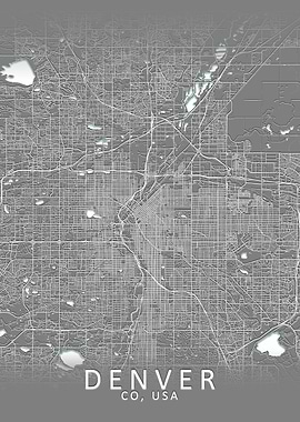 Denver Grey City Map