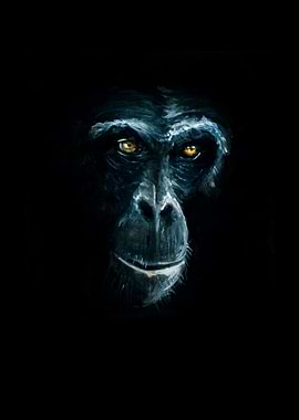 My Brothers 3rd Mind