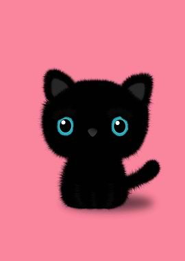 Cute Black Kitten